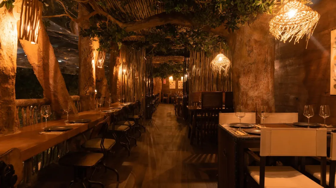 Safari Step into Africa The Bird observatory