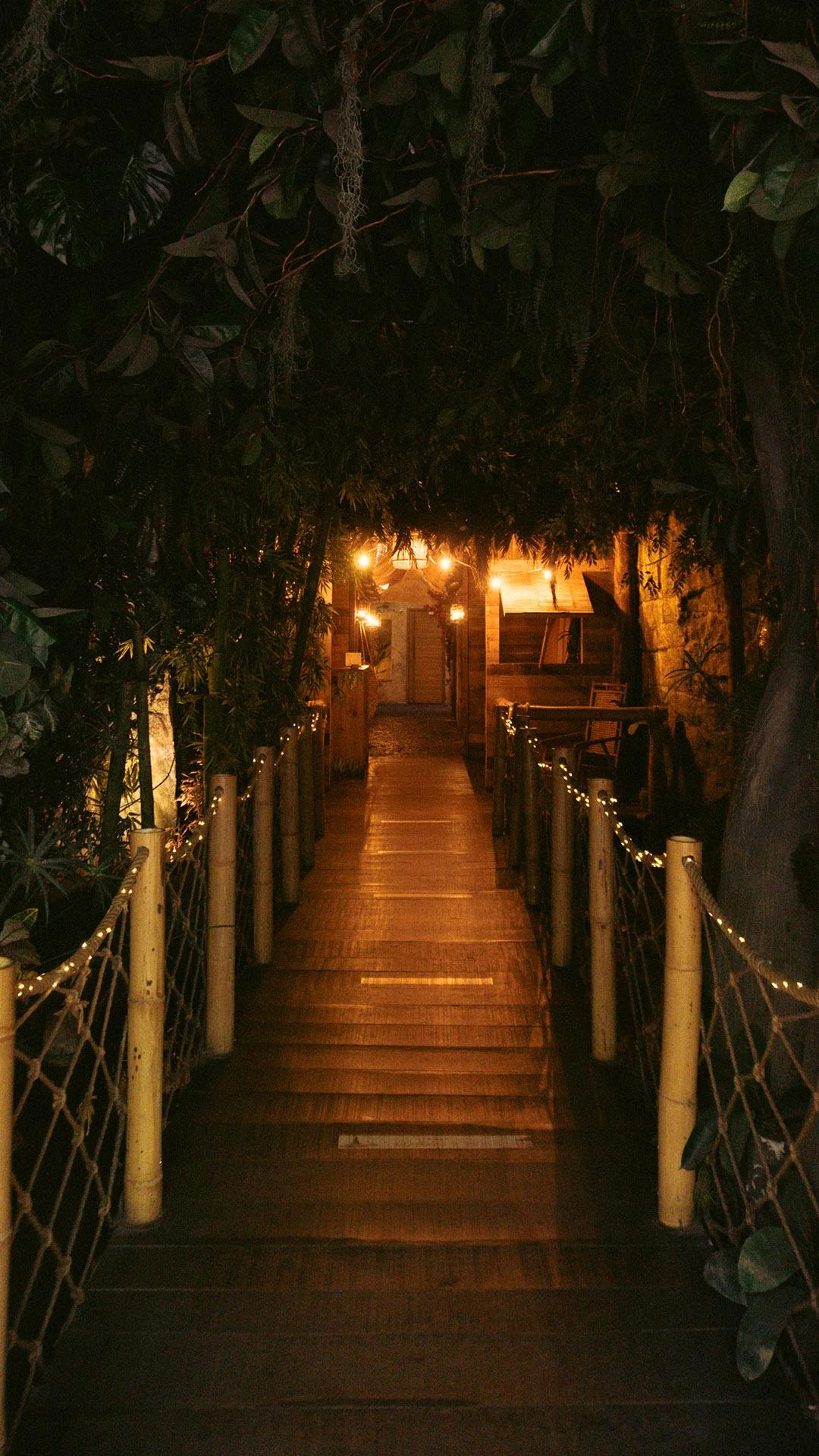 Travel to  Balinese jungle