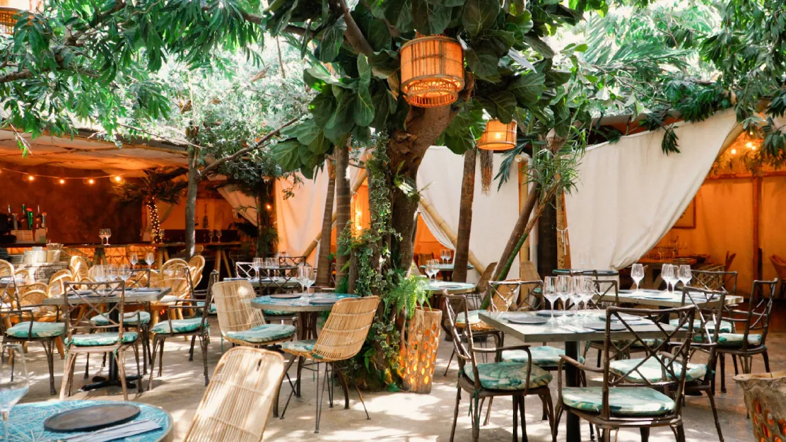 Travel to balinese jungle