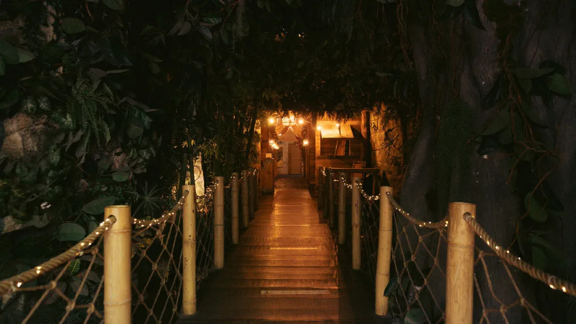 Travel to balinese jungle