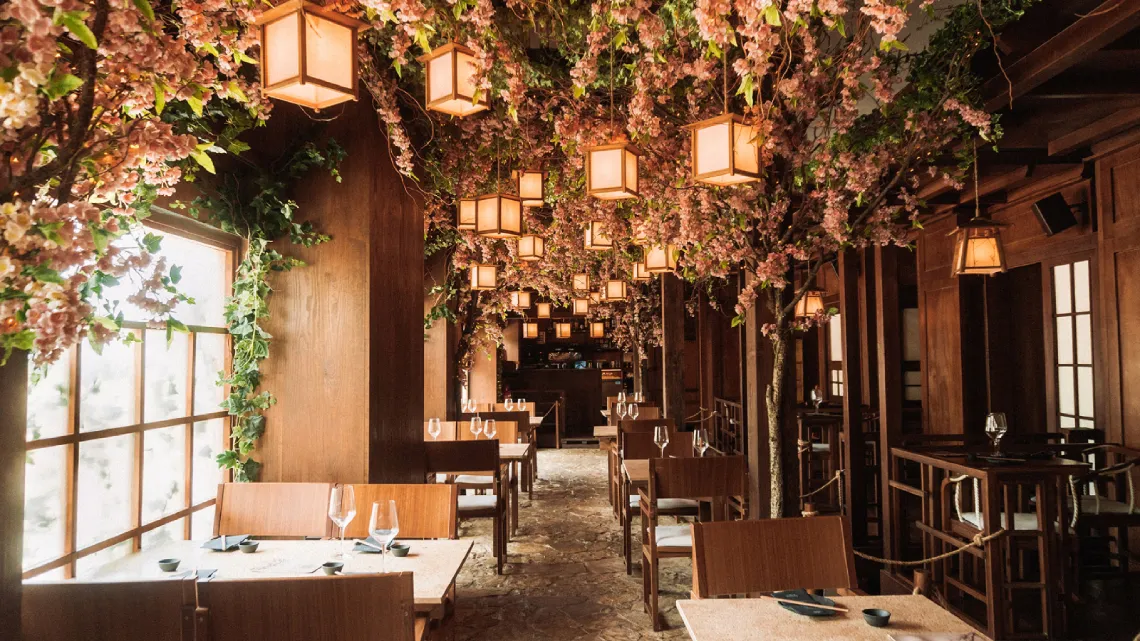 過去 - Year A journey to the past 1256