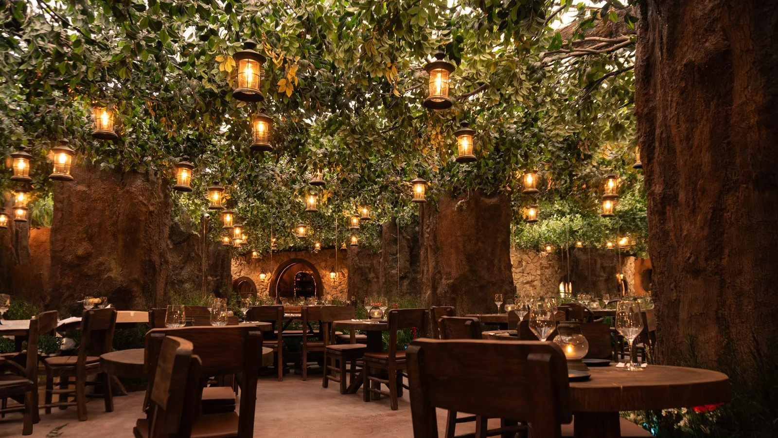 Voltereta New Zealand