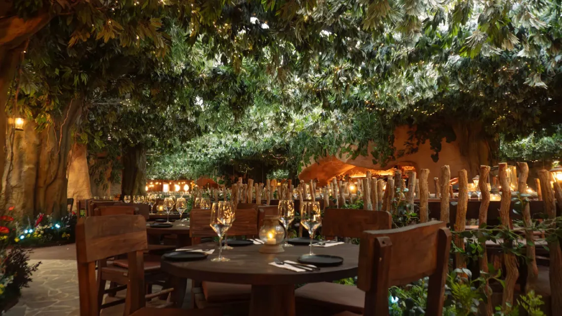 Step into nz An enchanted forest Nature