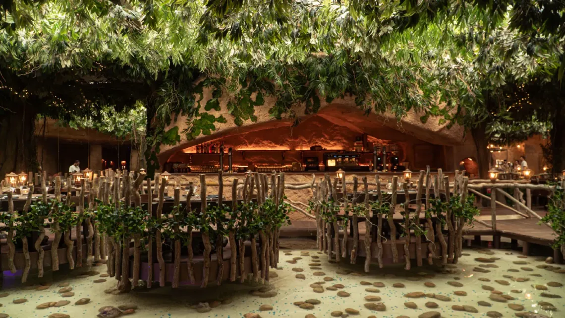 Step into nz An enchanted forest Nature