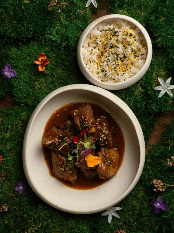 Voltereta New Zealand