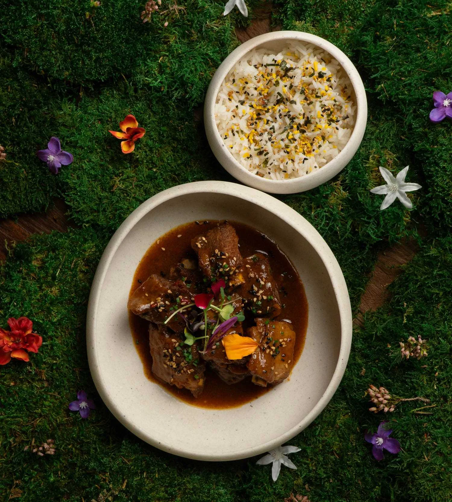 Voltereta New Zealand