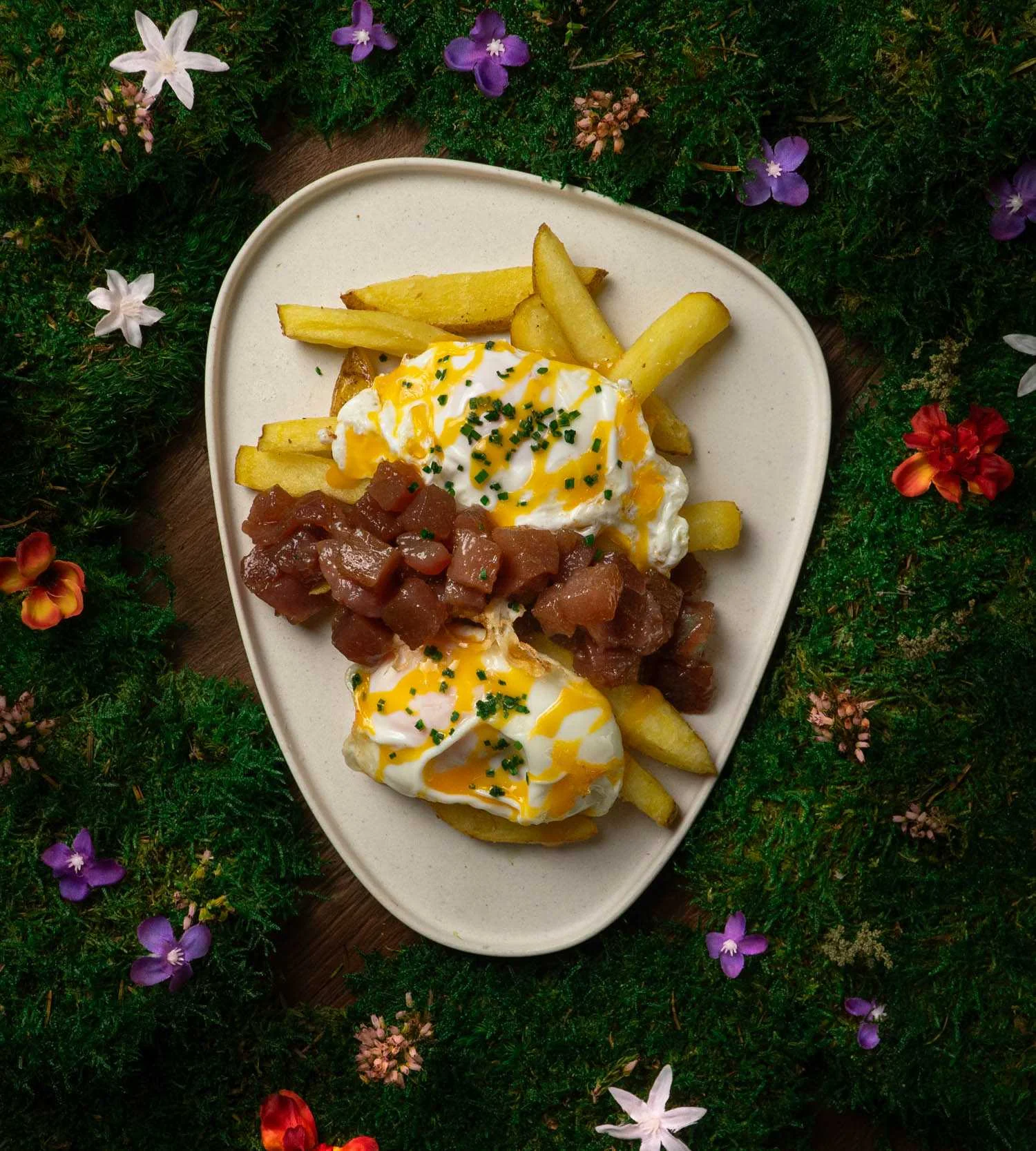 Voltereta New Zealand