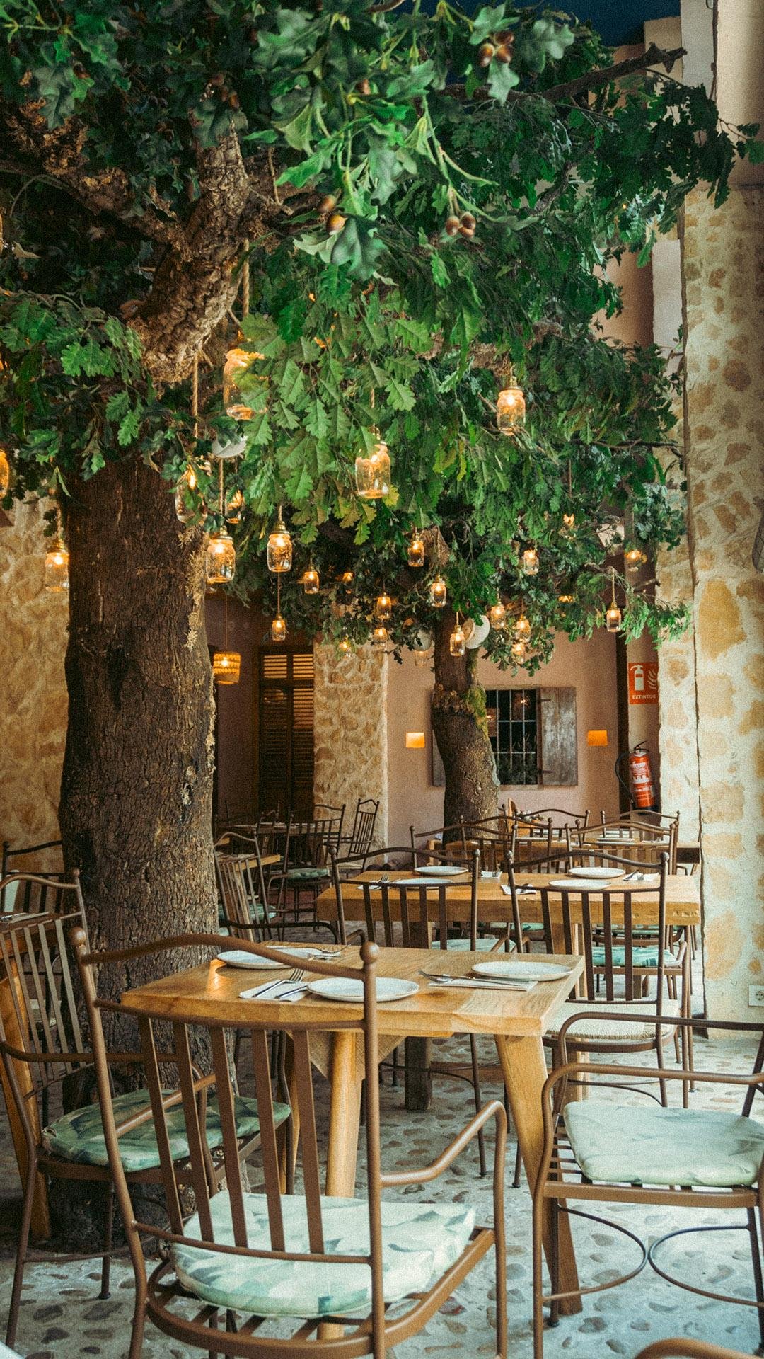 Charming restaurant in Valencia